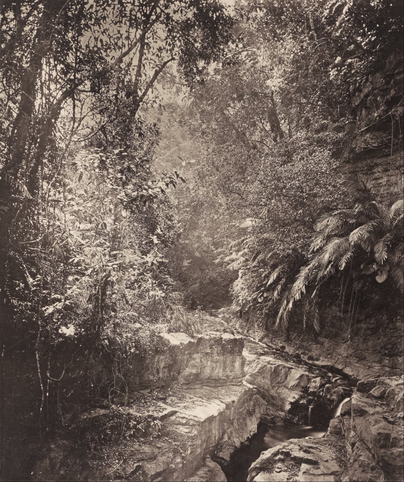 A mountain pass in southern Formosa by John Thomson, published in 1873. He had landed at Takow in 1871 and gone inland towards Baksa and Liugui with James Maxwell as his guide; the glass negatives he carried out are among the earliest photographs of Taiwan.