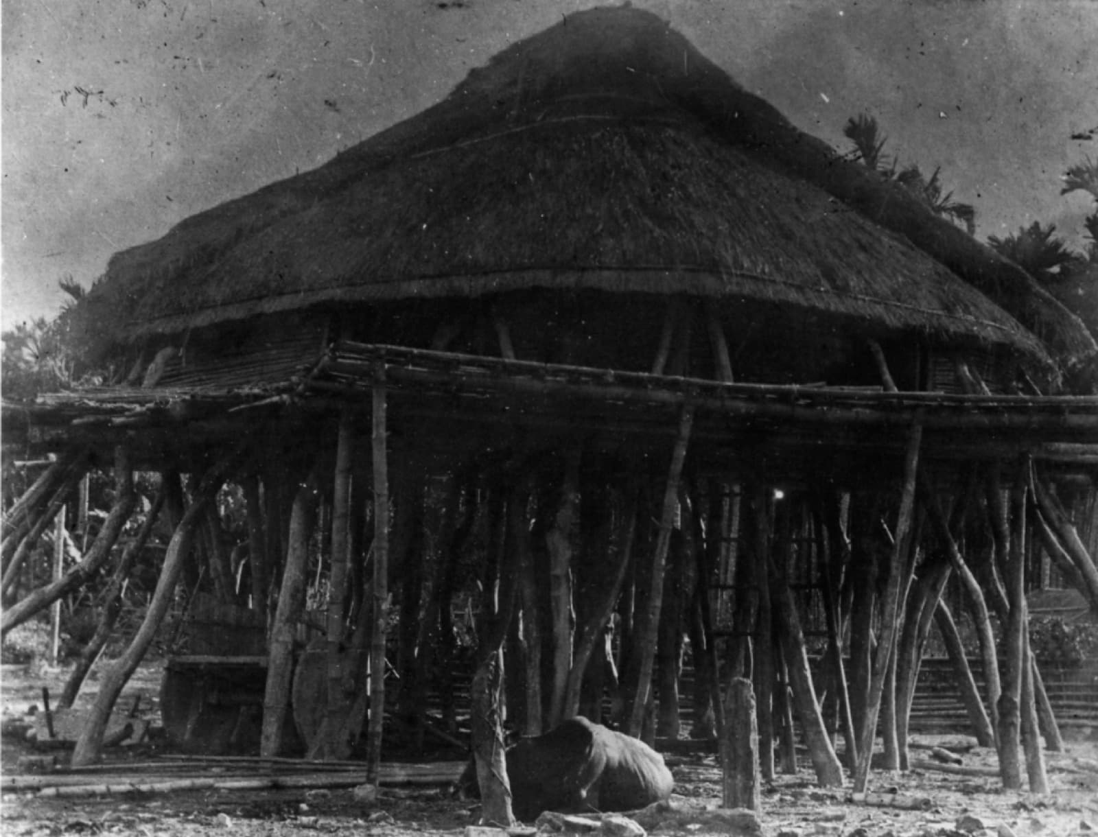 The youths' assembly house at Tipol, photographed by Torii Ryuzo in 1897, a thatched roof on a raised frame of bamboo and timber. Tipol was the village that made formal submission at Pimaba in April 1643 and was then ordered down to the flat land by the river. The photograph was taken more than two hundred and fifty years after that.